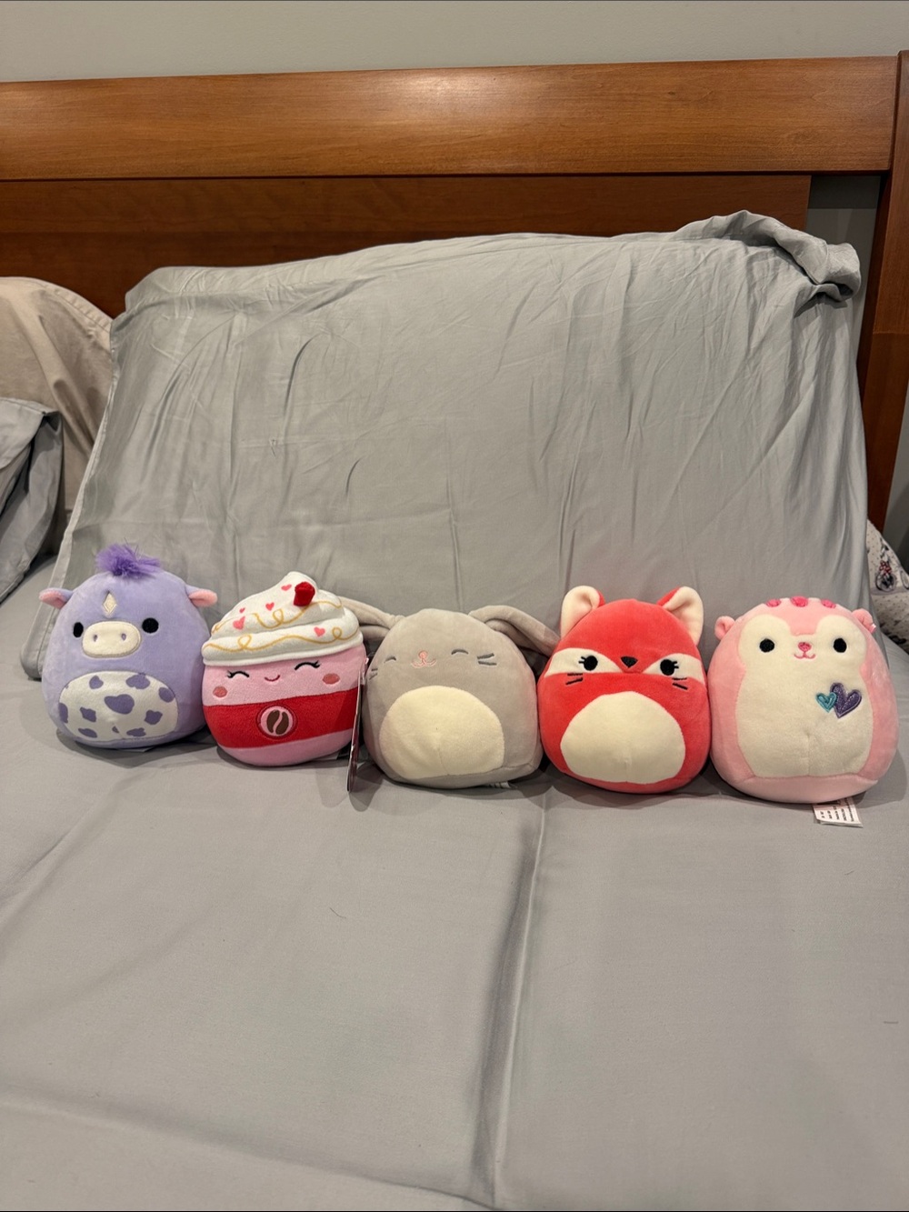 Set of 5 squishmallows